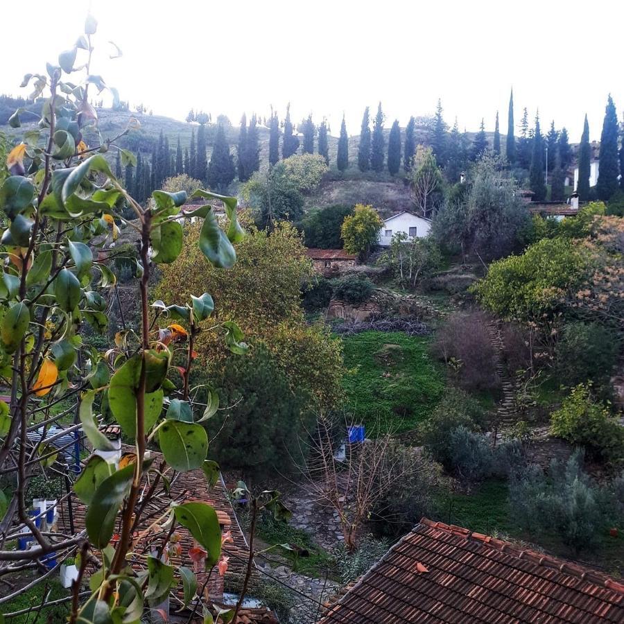 Sirince Dogadaki Evler Hotel Selcuk ภายนอก รูปภาพ